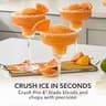 Oster Classic Series 16-Speed Blender with 6-Cup Glass Jar and 3-Cup Chopper