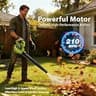 Toro 38381 18-Inch 15-Amp Corded Electric Power Curve Snow Blower System