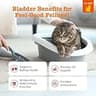 Zesty Paws Cranberry Urinary Tract Support Bites for Cats, Bacon Flavor