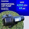 Aquastrong Shallow Well Jet & Centrifugal Pump, 1.5 HP, 4250 GPH, 115/230V