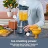 Hamilton Beach Power Elite 700W Countertop Blender with 40-Ounce Glass Jar