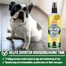 Bodhi Dog Natural Eco-Friendly Potty Training Attractant Spray for Puppies, 8 oz
