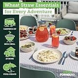 Grow Forward 16-Piece Premium Unbreakable Wheat Straw Dinnerware Set, Sahara