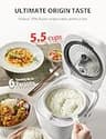 Toshiba OriginTaste Fuzzy Logic 15-in-1 Rice Cooker, 5.5-Cup Uncooked