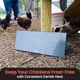 Cozy Products Cozy Coop 200W Safe Radiant Flat Panel Chicken Coop Heater
