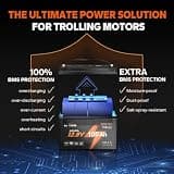 Litime 12V 100Ah LiFePO4 Trolling Motor Deep Cycle Battery Group 31, 2-Pack Set