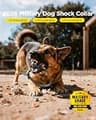 BLACKDOG Military Dog Shock Collar with 4200ft Range and 90-Day Battery Life