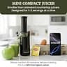 Elite Gourmet EJX600 Compact Space-Saving 70 RPM Masticating Slow Juicer