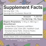 MARYRUTH'S Organics Herbal Supplement Drops for Renal & Urinary Systems, 1 Fl Oz