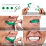 Opalescence Go 15% Prefilled Teeth Whitening Trays Kit, Mint Flavor, 10 Trays