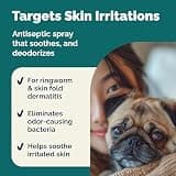Vetnique Labs Dermabliss Alcohol-Free Chlorhexidine Medicated Spray, 8 Fluid Oz