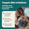 Vetnique Labs Dermabliss Alcohol-Free Chlorhexidine Medicated Spray, 8 Fluid Oz