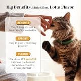 Pet Honesty Cat Immune Support L-Lysine & Colostrum Chicken Chews, 30-Day Supply