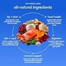 Native Pet The Daily 11-in-1 Dog Vitamins & Supplement Powder for Whole-Body Health
