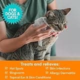 Nootie Medicated Dog Wipes with 2% Chlorhexidine and 2% Miconazole for Allergy Relief