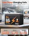 Super Empower 12V 100Ah Group 31 Deep Cycle Lithium Battery Replacement
