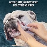 Pet MD Topical Cleansing Wipes with 2% Chlorhexidine & 1% Ketoconazole