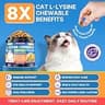 L-Lysine Respiratory Chews with Colostrum & Omega-3, Chicken Flavor, 500-Count