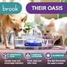 Brook Glass Pet Water Fountain with Dishwasher Safe Components, 2.7L Capacity