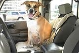 Seat Armour Soft Cotton Machine Washable Towel Car Seat Protector for Ford