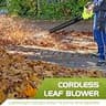 WOLFMEN Cordless Leaf Blower with Advanced Axial Flow Turbofan & 2.0Ah Battery