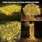 Dirnun 160 LED Warm White Outdoor Christmas Net Lights, 5ft x 7ft Size