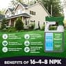 Simple Lawn Solutions Advanced 16-4-8 Liquid Fertilizer Spray with Fish and Seaweed