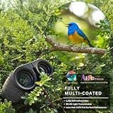 Hontry 10x25 Ultra-Compact Pocket Binoculars for Travel and Sightseeing