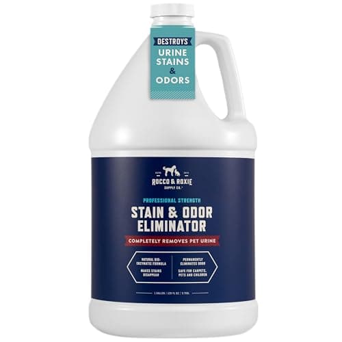 The 7 Best Carpet Cleaner Solutions for Pet Urine of 2026