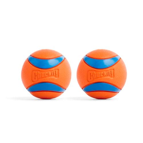 The 7 Best Dog Balls of 2026