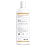 Veterinary Formula Clinical Care Antiseptic and Antifungal Medicated Shampoo, 16 oz