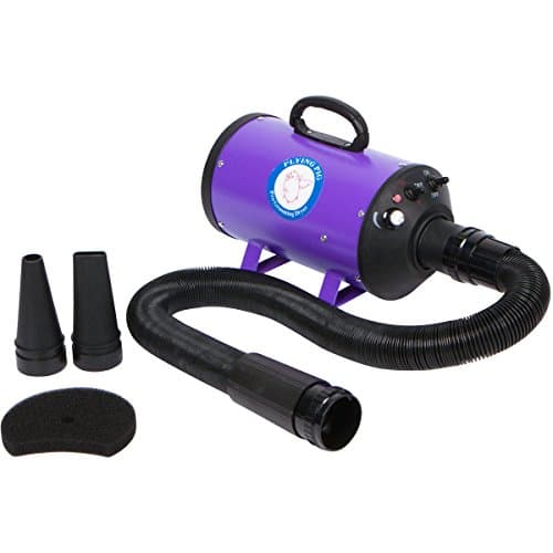 The 7 Best dog blowers for shedding of 2026