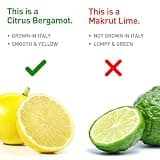 BergaMet Citrus Bergamot 170:1 Extract, 1200mg with 80% Total Polyphenols