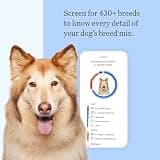 Wisdom Panel Premium Dog DNA Kit - Extensive 265+ Health Test & Diversity Screening