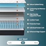 Sleepmax 14-Inch Deluxe Euro-Top Medium-Feel Hybrid Spring Mattress, Queen