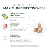 SoActive Italian Citrus Bergamot Phytosome Extract with Grape Seed Extract