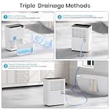 Gasbye Energy Star 75-Pint Dehumidifier with Replaceable Internal Pump