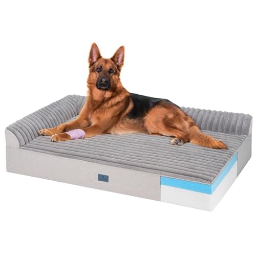 The 7 Best Orthopedic Dog Beds of 2026
