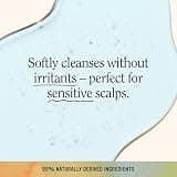 California Naturals Sensitive Scalp Shampoo & Conditioner Duo, 16.5 oz