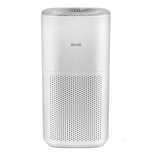 The 7 Best Large Room Air Purifiers of 2026