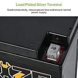 Weize YTX20L-BS Sealed AGM Maintenance-Free High Performance 12V Battery