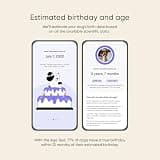 Embark Dog Age Test Kit - Canine DNA Methylation Age Estimation for Adult Rescue Dogs