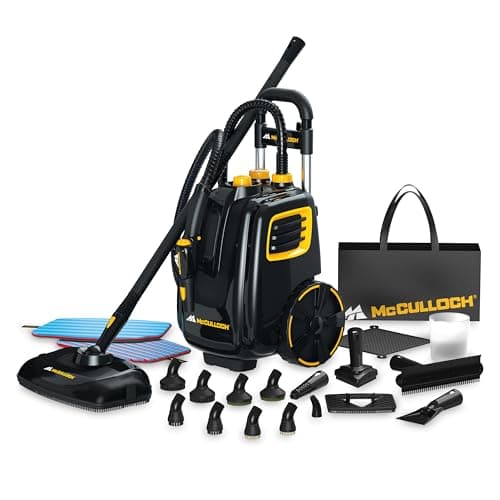 The 7 Best Car Steam Cleaners of 2026