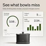 PETLIBRO Dockstream 2 Wireless Pumpless Cat Water Fountain with 3L Capacity