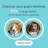 Embark Breed & Health Dog DNA Test - Comprehensive 270+ Health Condition Screening