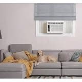 Whirlpool 8,000 BTU Window Air Conditioner with Dehumidifier