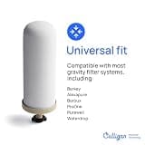 Culligan MaxClear 2.25-Gallon Stainless Steel Gravity Water Filter System