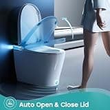 HOROW T38 Artistic Smart Toilet with Instant Warm Water Bidet and Dryer