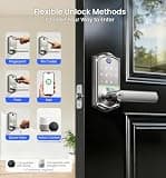 Veise VE019 Fingerprint Smart Lever Lock with Touchscreen Keypad System