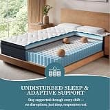 Sleepmax 14-Inch Deluxe Euro-Top Medium-Feel Hybrid Spring Mattress, Queen